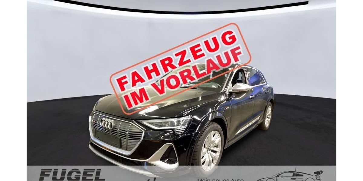 Audi e-tron 66.278 km 38.999 &euro; Chemnitz 09125
