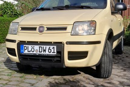Fiat Panda 218.000 km 4.000 &euro; Wankendorf 24601