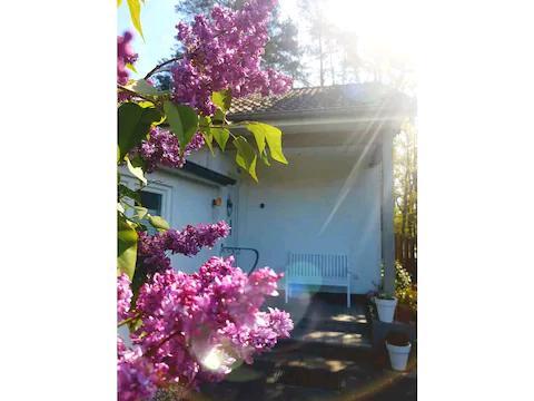 Bungalow Buchholz in der Nordheide - 3 Zimmer, 90 m&sup2;, 340.000&euro; | Angebot:26691765