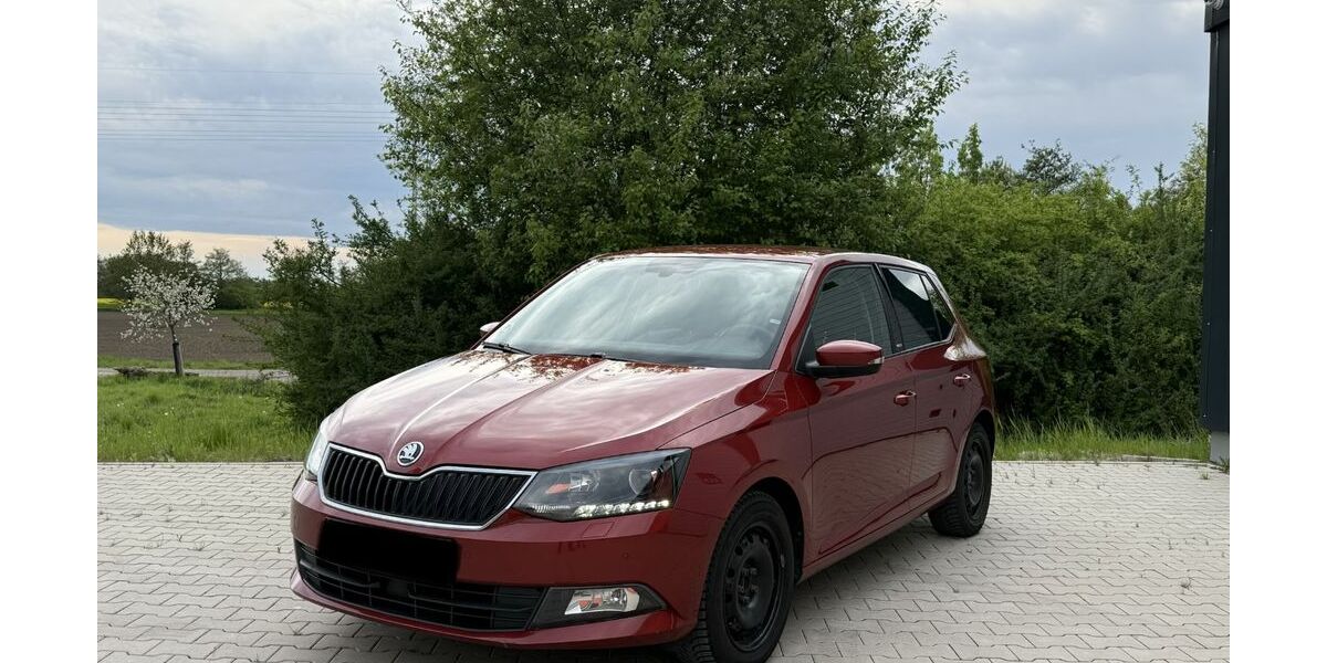 Skoda Fabia 183.000 km 5.990 &euro; Magdeburg 39128