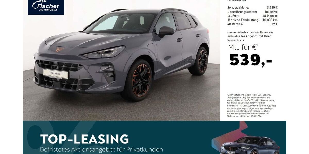 Cupra Terramar 5.000 km 52.980 &euro; Neumarkt 92318