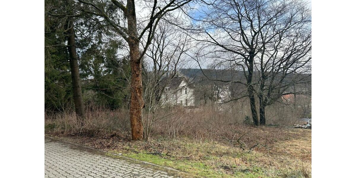 Provisionsfrei* Unbebautes Grundstück im Ortskern Hahnenklee - Grundstück Goslar Hahnenklee | Angebot:26063662