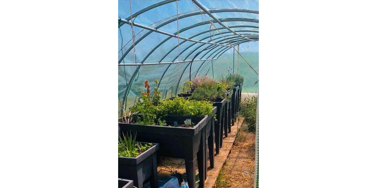 Einfamilienhaus Lalendorf - 4 Zimmer, 140 m&sup2;, 285.000&euro; | Angebot:25943186