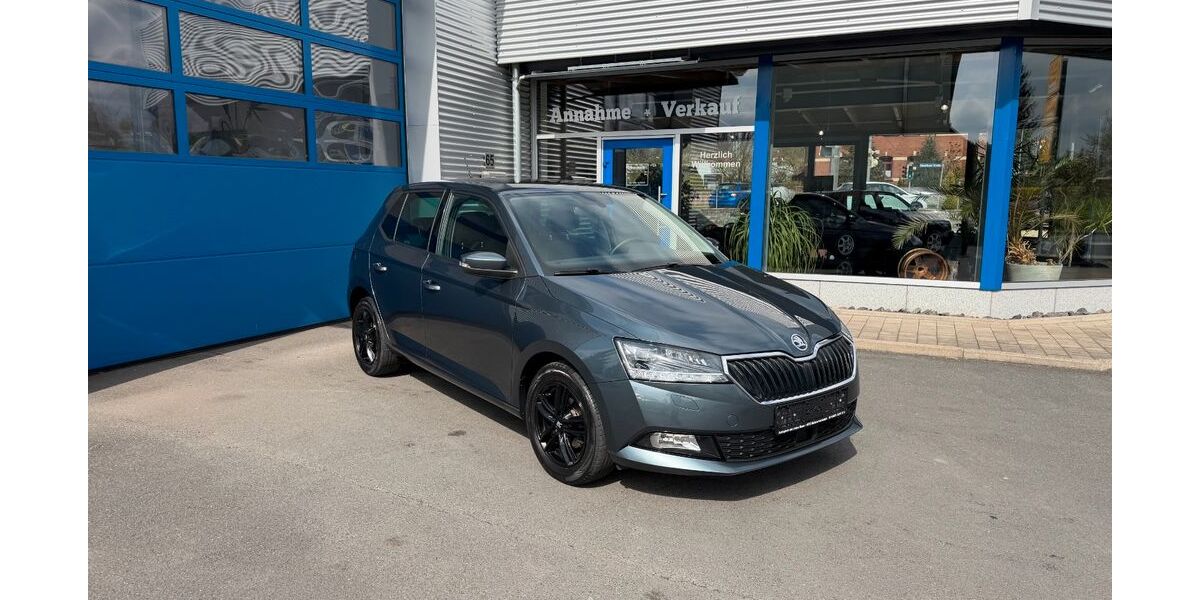 Skoda Fabia 110.000 km 11.499 &euro; Sonneberg 96515