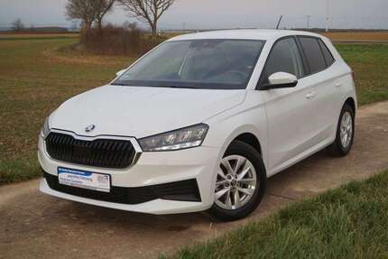 Skoda Fabia 49.150 km 14.990 &euro; Bechenheim 55234