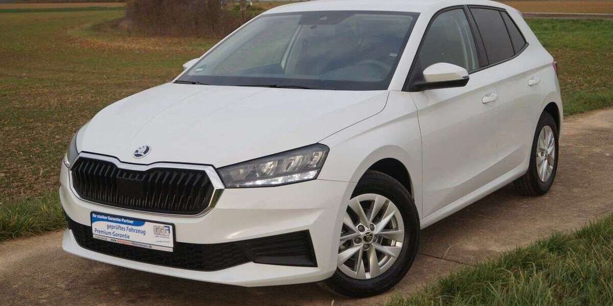 Skoda Fabia 49.150 km 14.990 &euro; Bechenheim 55234