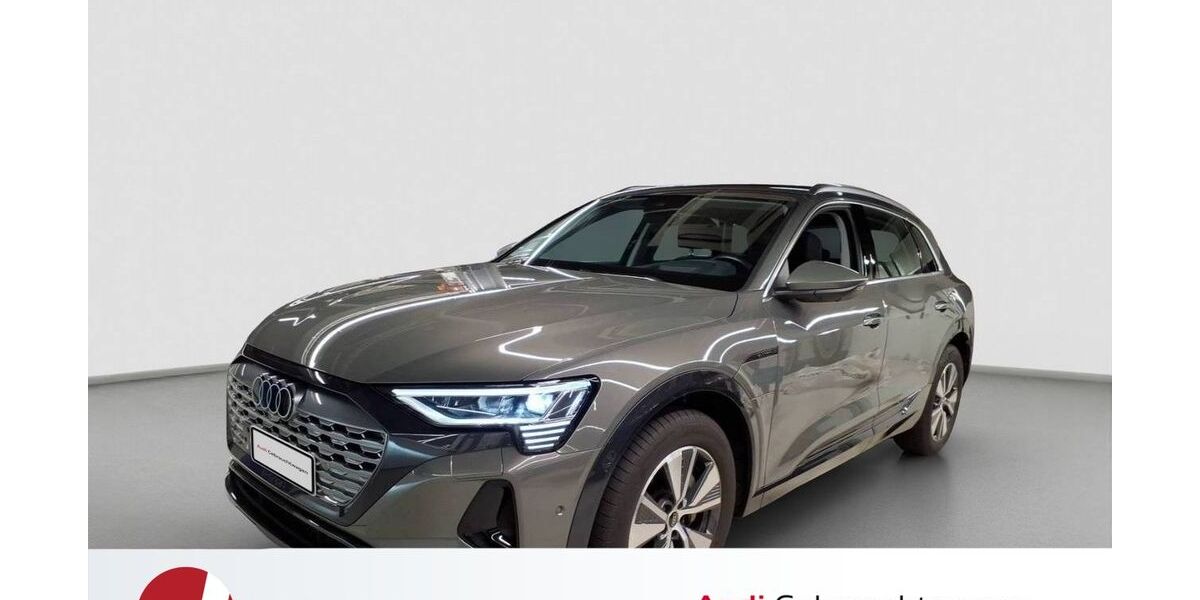 Audi Q8 e-tron 25.120 km 59.390 &euro; Neutraubling 93073