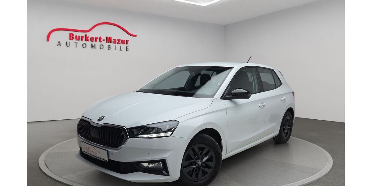Skoda Fabia 25.650 km 16.790 &euro; Kronach 96317