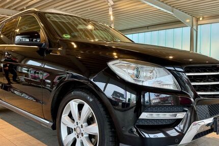 Mercedes-Benz ML 350 174.900 km 16.700 &euro; Templin 17268