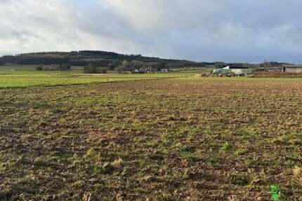 Grundstück Grafschaft-Esch Esch - 138.800&euro; | Angebot:24626680