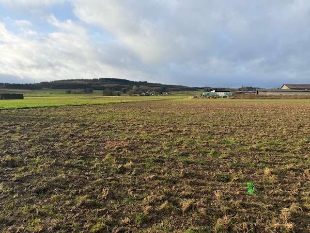 Grundstück zu verkaufen in Grafschaft-Esch 138.800 € 883 m² zimmer