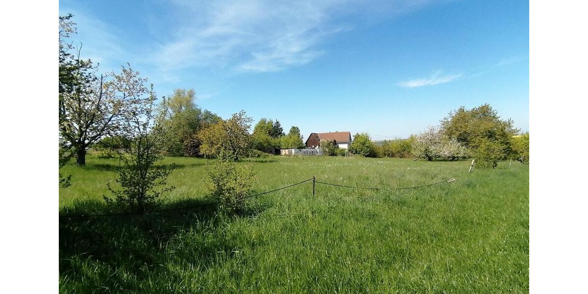 Einfamilienhaus Döbeln - 180.000&euro; | Angebot:26691431