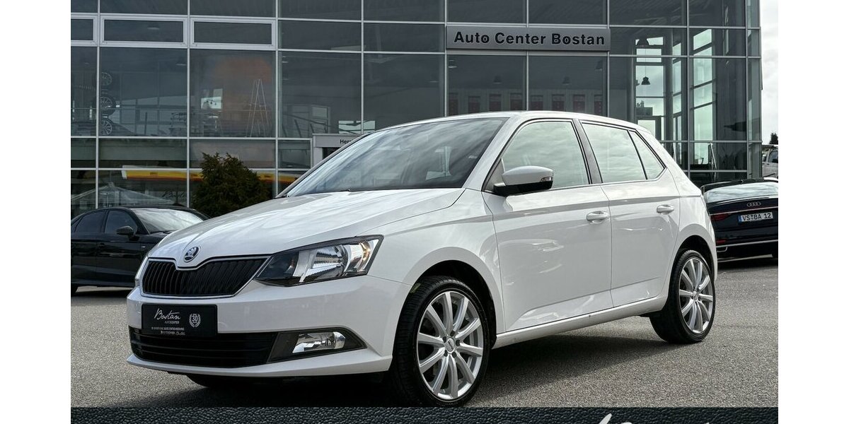 Skoda Fabia 1.2 TSI Ambition ANHÄNGERKUP./SITZHEIZUNG 111.546 km 8.900 &euro; Villingen-Schwenningen 78054
