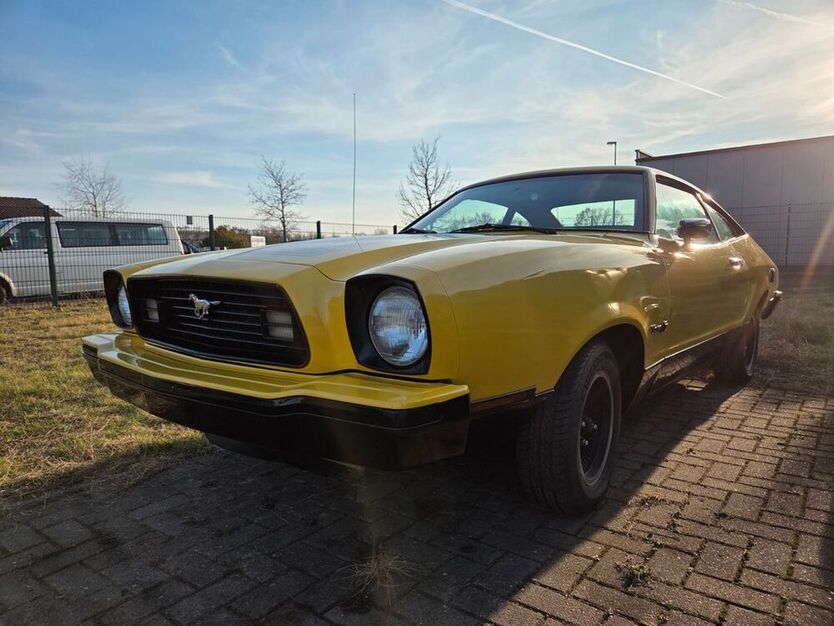 Mustang