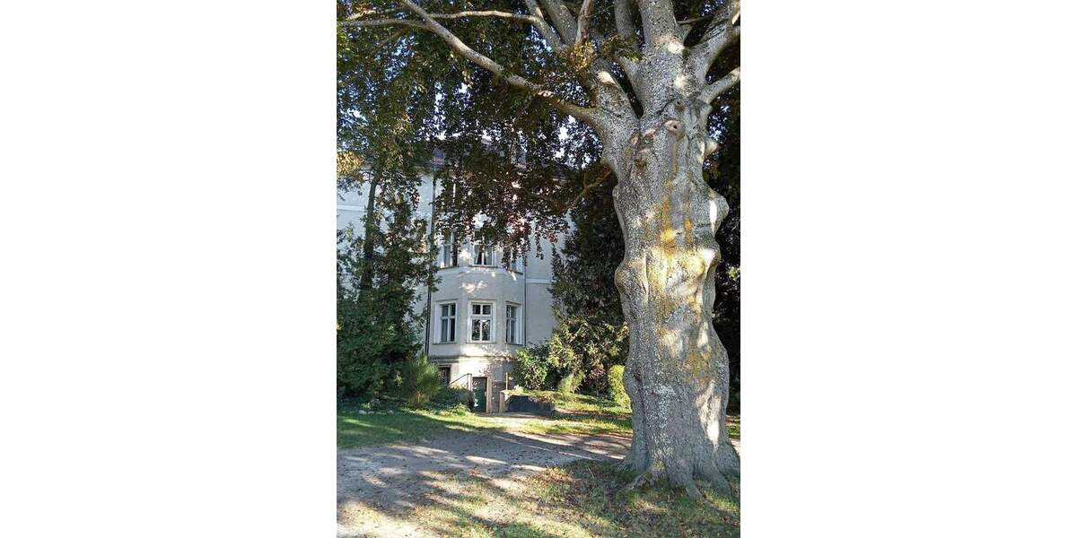 Gewerbeobjekt Ranzin Ranzin - 3 Zimmer, 1.500.000&euro; | Angebot:23242995