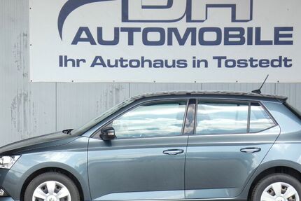 Skoda Fabia 144.488 km 8.490 &euro; Tostedt 21255
