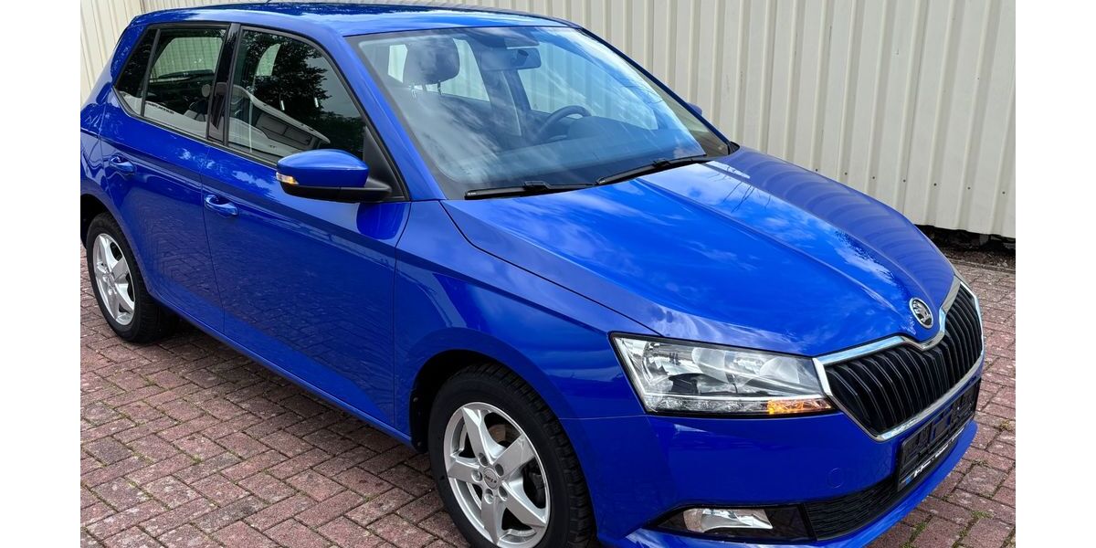 Skoda Fabia 46.300 km 10.490 &euro; Wallenhorst 49134