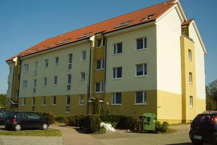 Neu hergerichtete gemütliche Wohnung mit Balkon