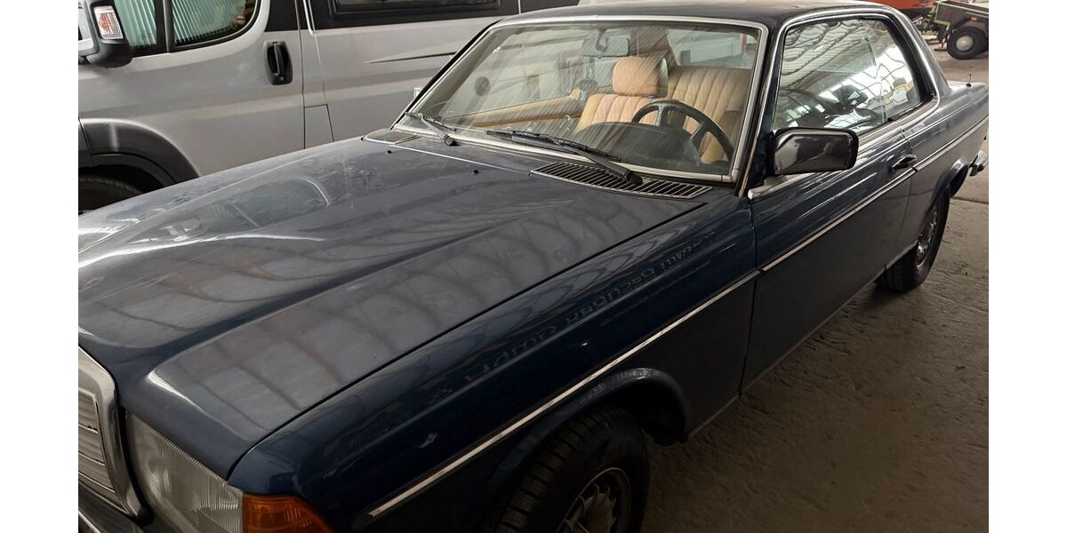 Mercedes-Benz 230 176.000 km 8.499 &euro; Mirow 17252