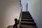 Mehrfamilienhaus, Wohnhaus Wittenberg Lutherstadt - 519.000&euro; | Angebot:26967456