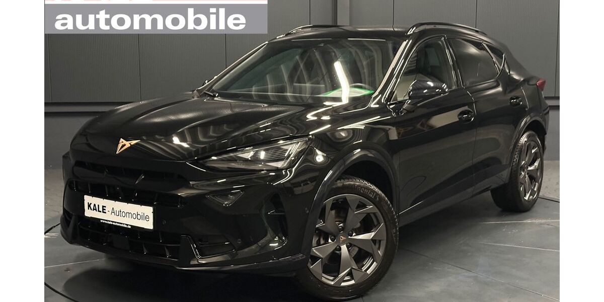 Cupra Formentor 29.000 km 29.890 &euro; Helmstedt 38350