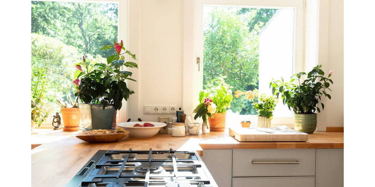Mehrfamilienhaus, Wohnhaus Hamburg Winterhude - 7 Zimmer, 285 m&sup2;, 3.000.000&euro; | Angebot:26450409