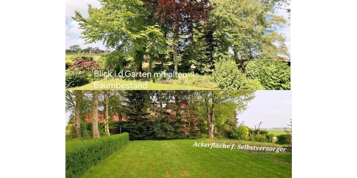 Einfamilienhaus Nordenham - 6 Zimmer, 150 m&sup2;, 340.000&euro; | Angebot:26987382