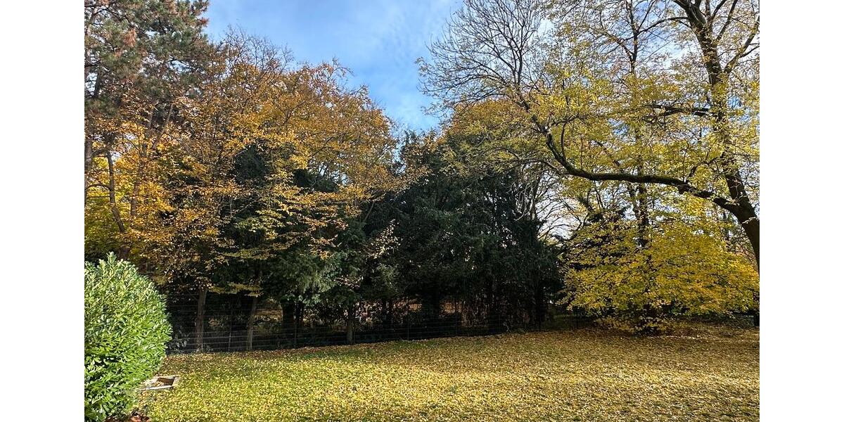 Schöne Wohnung direkt gegenüber an der Uni-Düsseldorf 3 zimmer