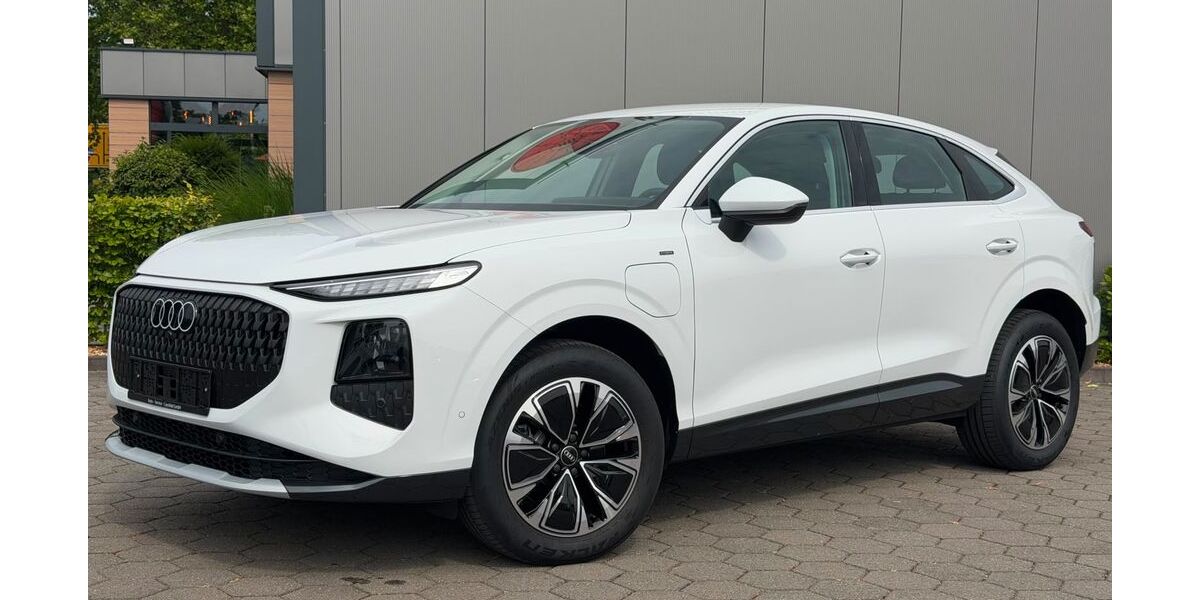 Audi Q3 2.800 km 43.900 &euro; Coesfeld 48653