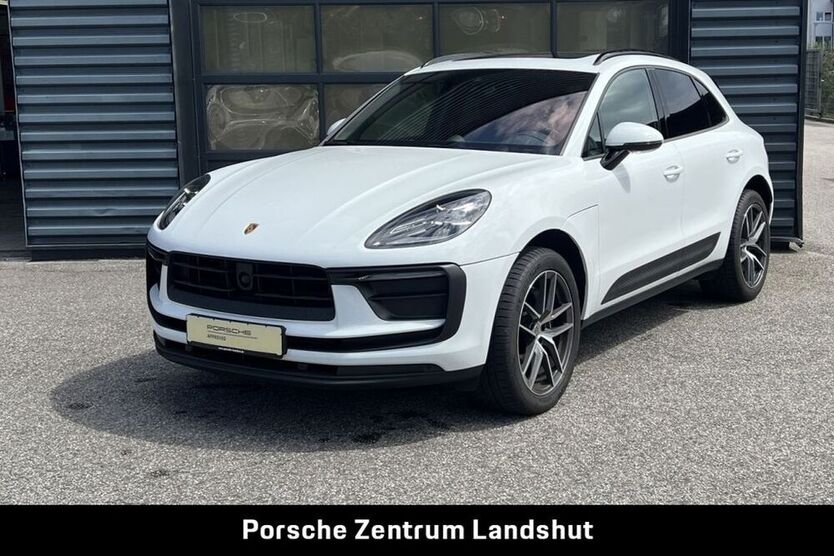 Macan