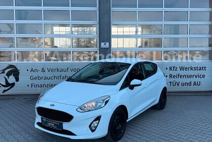 Ford Fiesta 111.300 km 8.990 &euro; Lohne 49393