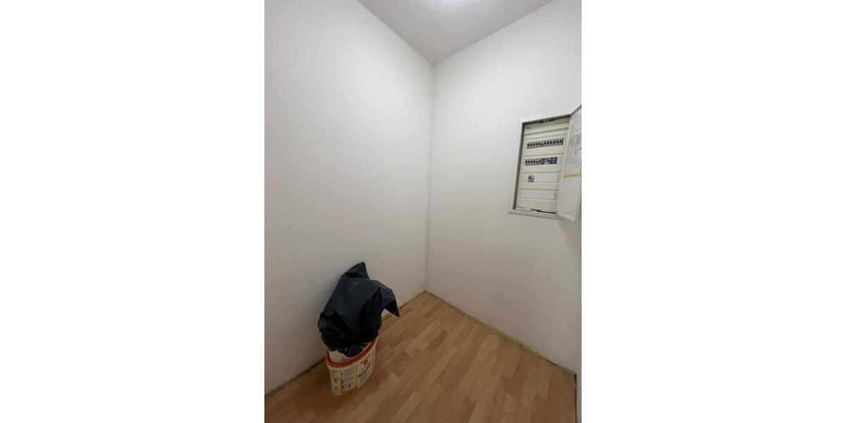 3 Raum Wohnung in Dresden Tolkewitz 3 zimmer