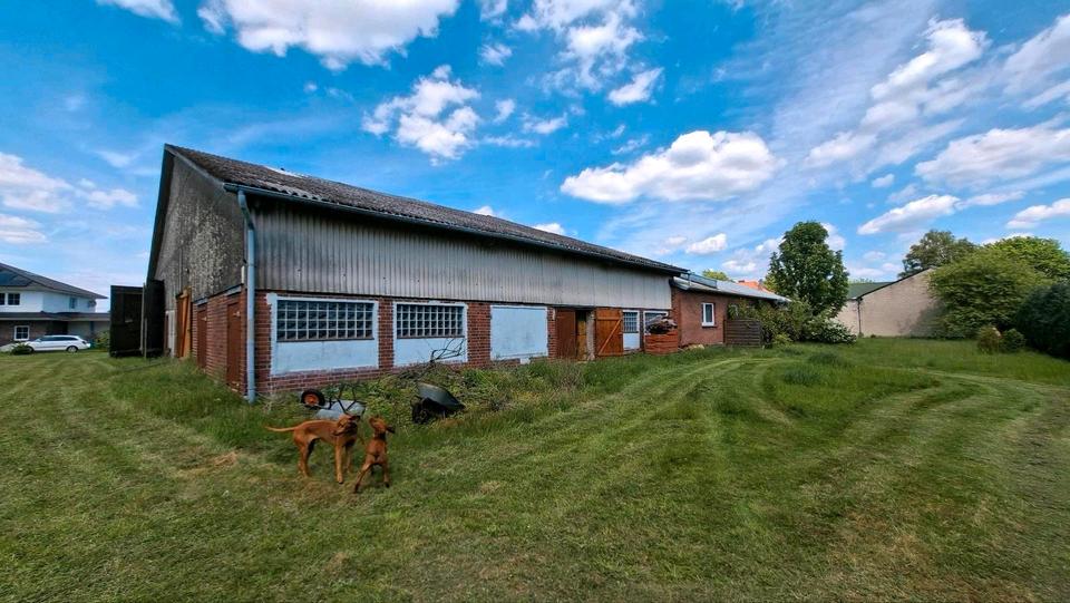 Einfamilienhaus Uelzen - 5 Zimmer, 100 m&sup2;, 279.000&euro; | Angebot:26699026