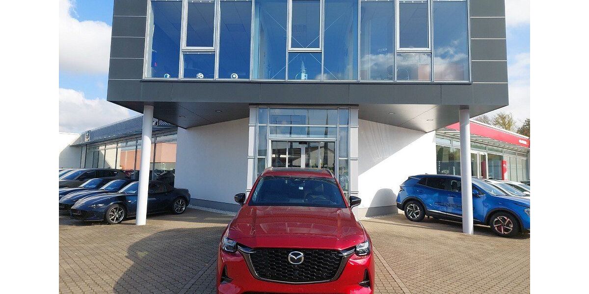 Mazda CX-80 1.600 km 49.975 &euro; Ammern/Mühlhausen 99996