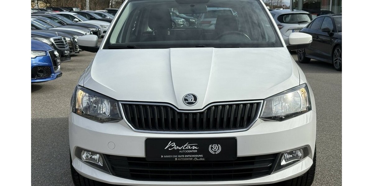 Skoda Fabia 1.2 TSI Ambition ANHÄNGERKUP./SITZHEIZUNG 111.546 km 8.900 &euro; Villingen-Schwenningen 78054