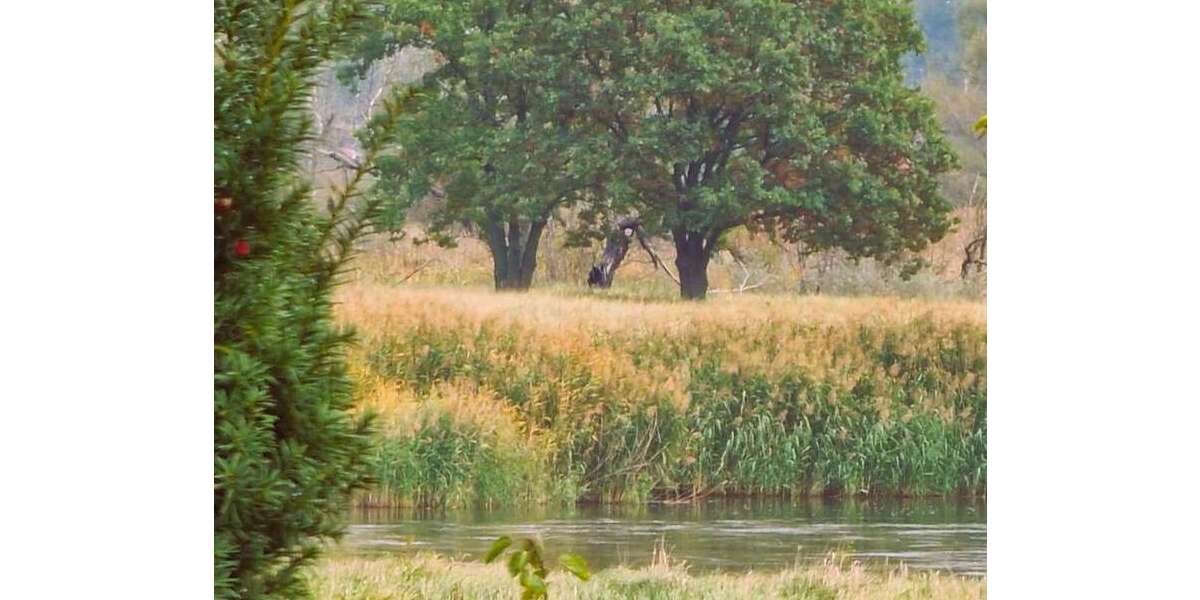4 WOHNEINHEITEN SIND MÖGLICH - IN TRAUMHAFT RENOVIERTER HOFSTELLE... - Bauernhaus, Landhaus Bleyen-Genschmar Genschmar | Angebot:26177114