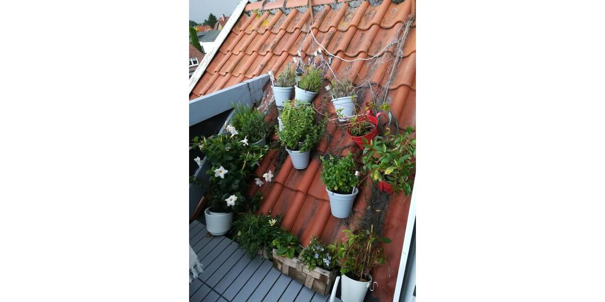 Dachgeschoßwohnung Scharbeutz Wulfsdorf - 1 Zimmer, 40 m&sup2;, 450&euro; | Angebot:26212880