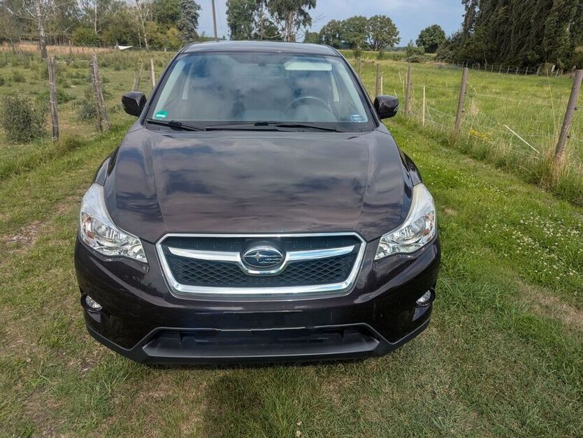 XV