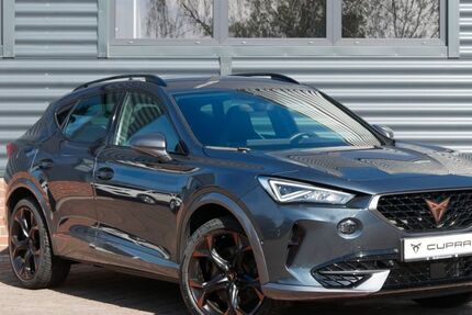 Cupra Formentor 39.250 km 29.290 &euro; Schneeberg 08289