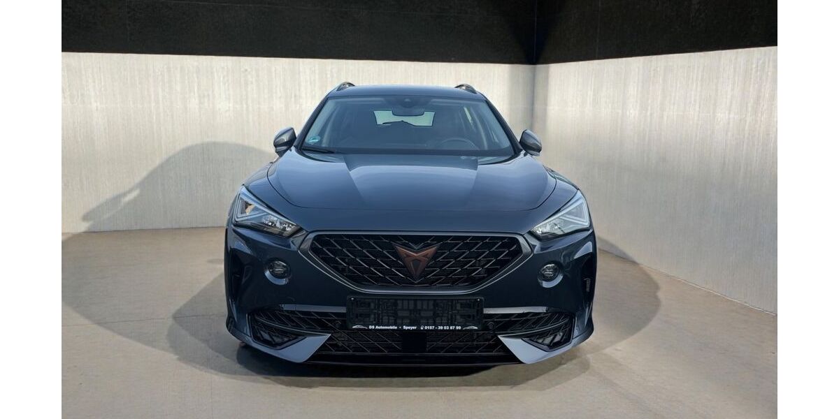 Cupra Formentor 151.900 km 19.999 &euro; Speyer 67346