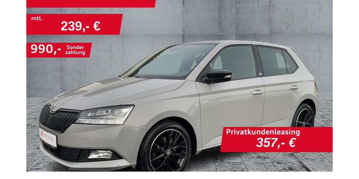 Skoda Fabia 18.262 km 16.670 &euro; Hof 95030