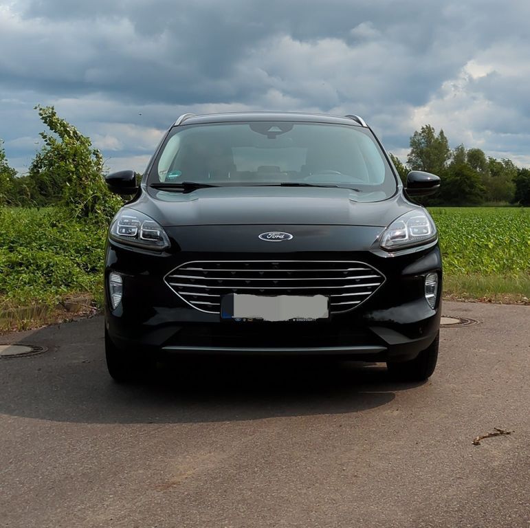 Kuga