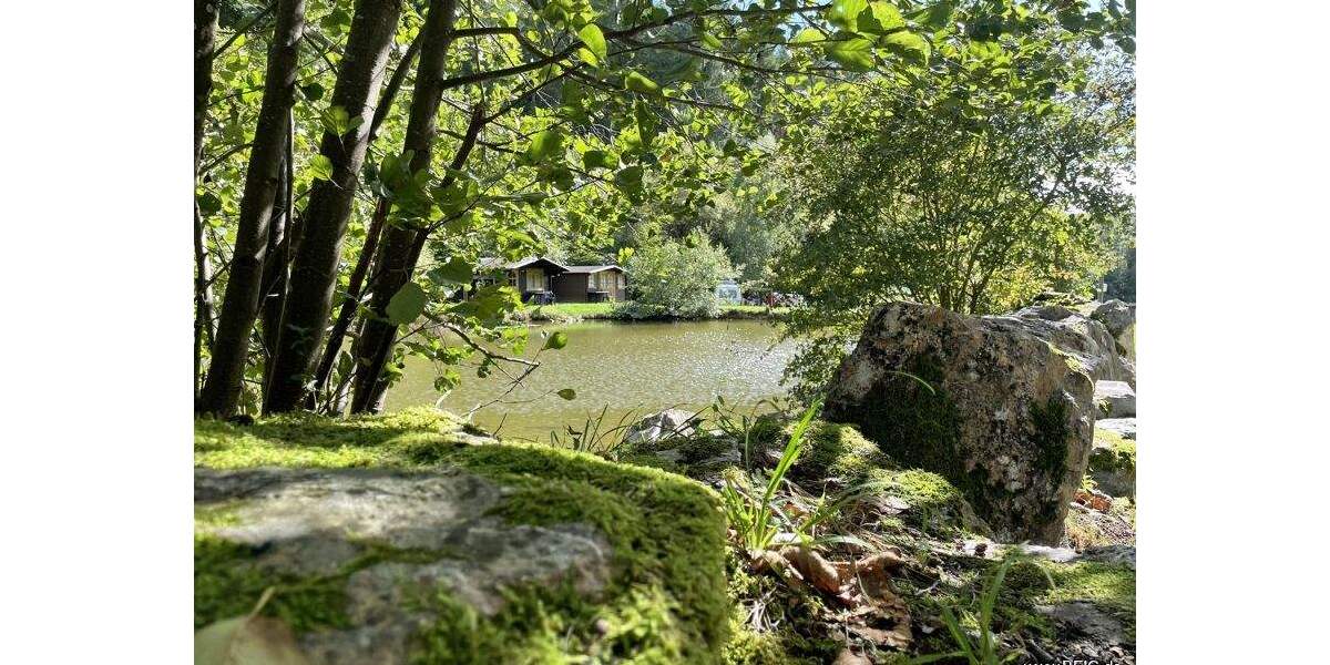 Gewerbeobjekt Bockenau - 1.050.000&euro; | Angebot:25699814
