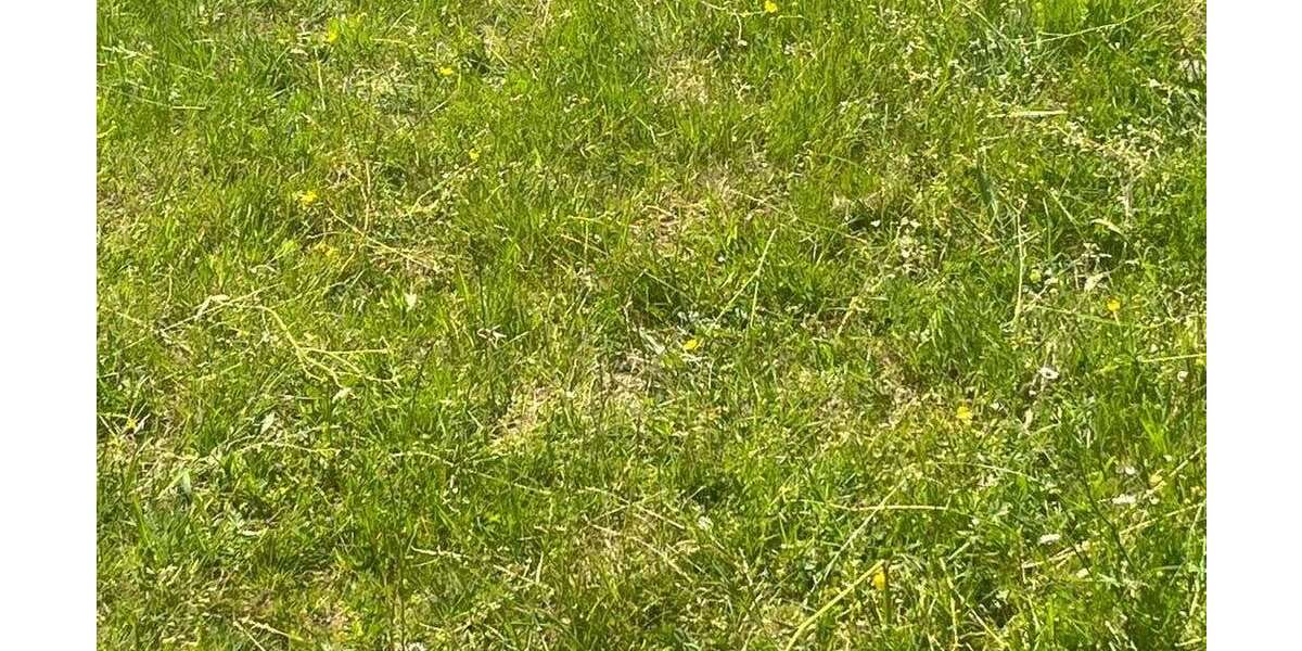 Grundstück Feldatal - 25.150&euro; | Angebot:19177920