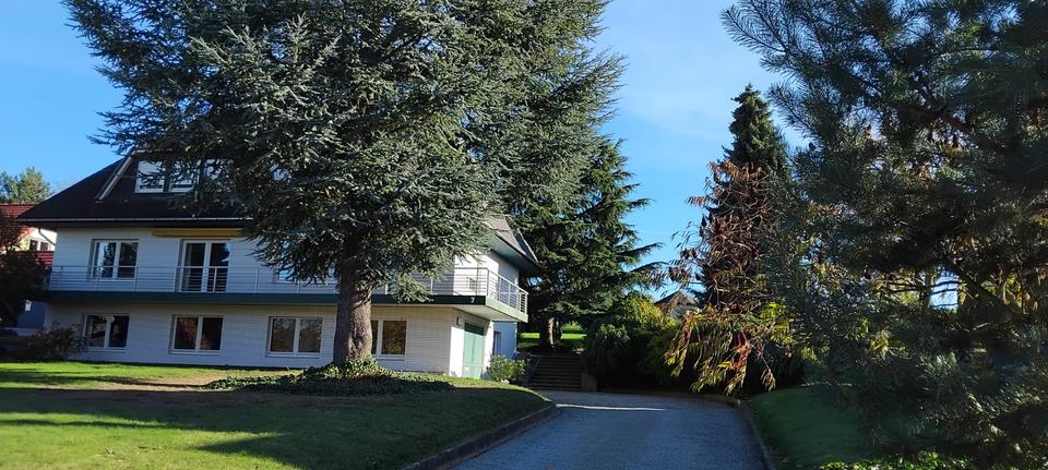 Einfamilienhaus Holzminden - 396.000&euro; | Angebot:26561637