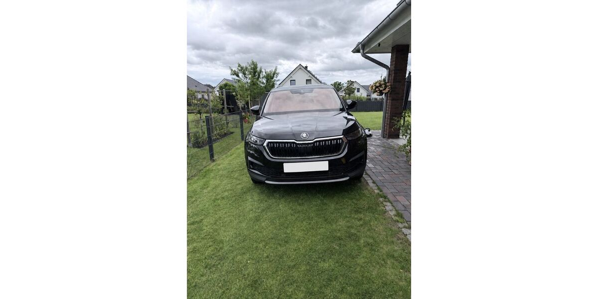 Skoda Kodiaq 64.490 km 29.500 &euro; Rosche 29571