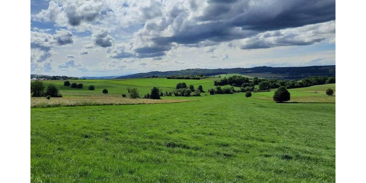 Bauernhaus, Landhaus Wächtersbach Leisenwald - 495.000&euro; | Angebot:25844886