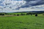 Bauernhaus, Landhaus Wächtersbach Leisenwald - 495.000&euro; | Angebot:25844886