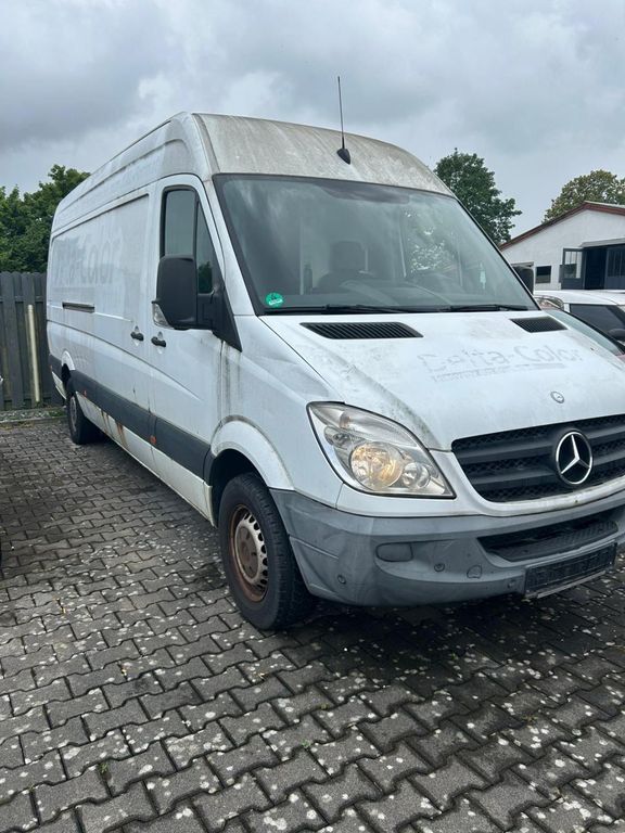 Sprinter