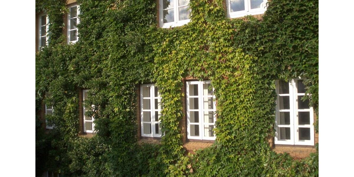 Dachgeschoßwohnung Dannenberg (Elbe) - 2 Zimmer, 55 m&sup2;, 385&euro; | Angebot:26296875